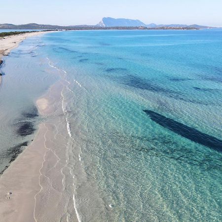 Iss Travel, Pedra Rosa 2 Bedroom Apartments With Private Terrace And Air Conditioning San Teodoro  Eksteriør bilde